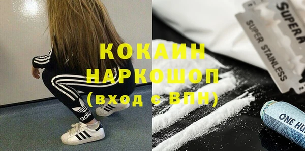 тгк Нея