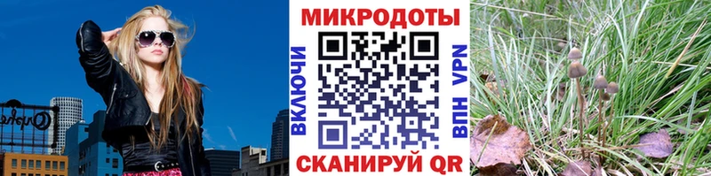 как найти закладки  гидра ONION  Галлюциногенные грибы Cubensis  Черняховск 